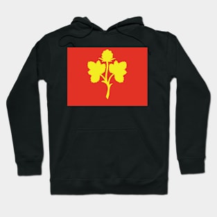 Nesseby Hoodie